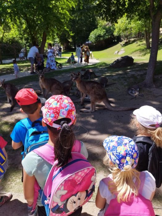 Výlet do ZOO 